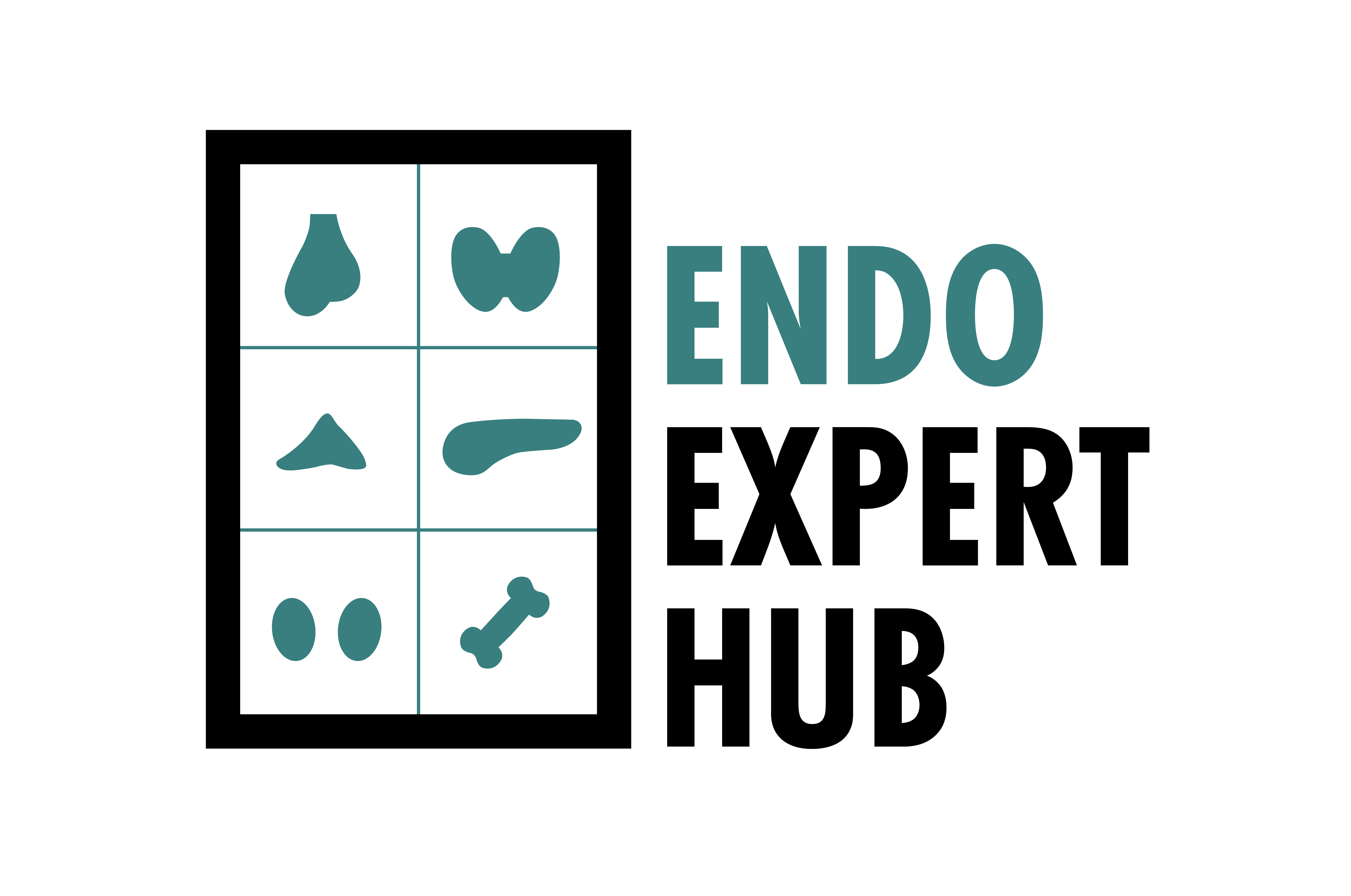 EndoExpertHub